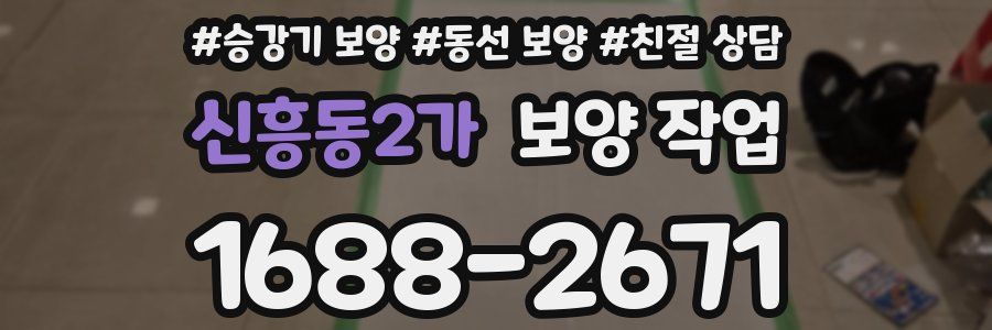 신흥동2가 보양 작업