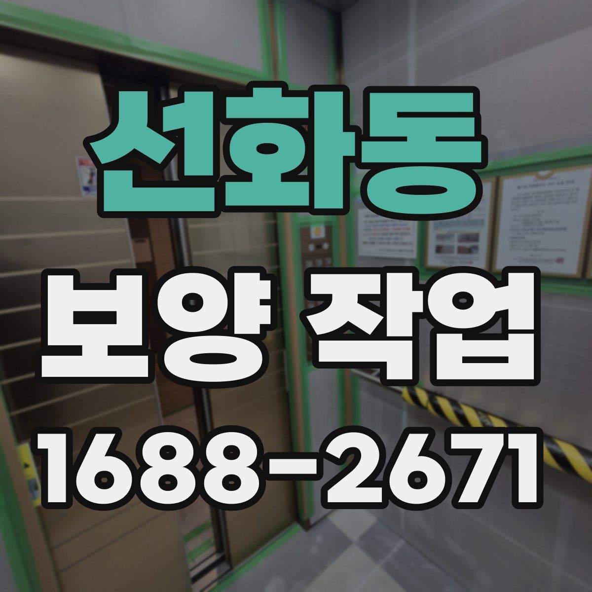 선화동 보양 작업