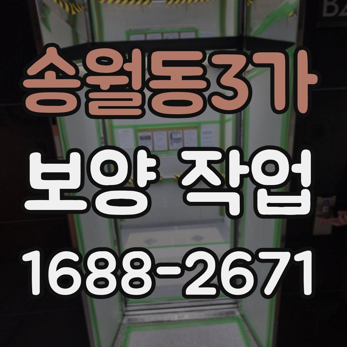 송월동3가 보양 작업 전후 비교로 보는 관리 차이