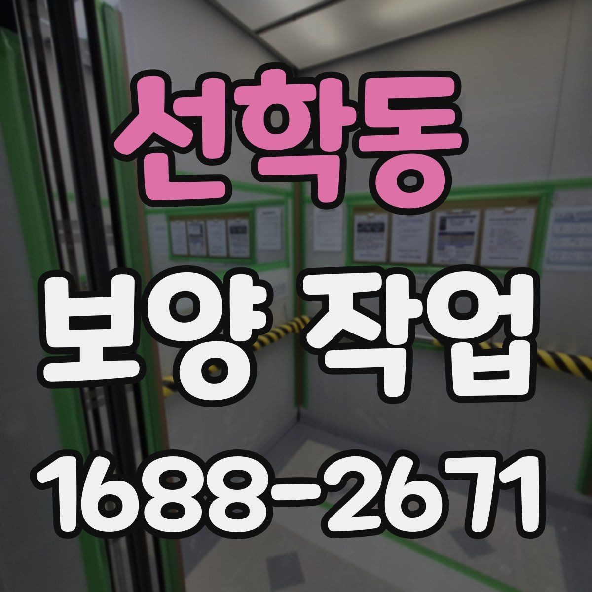 선학동 보양 작업 과정에서 자주 묻는 질문
