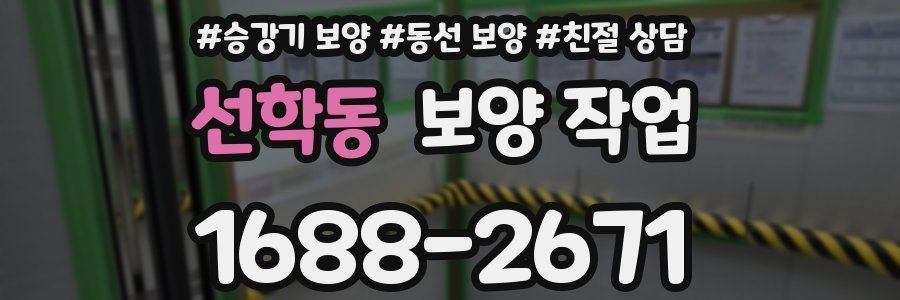 선학동 보양 작업