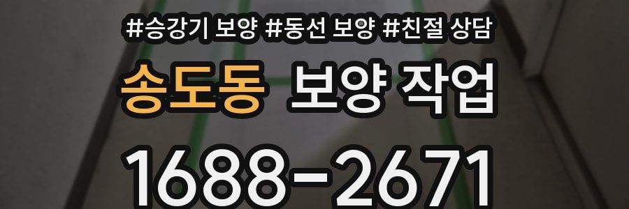 송도동 보양 작업