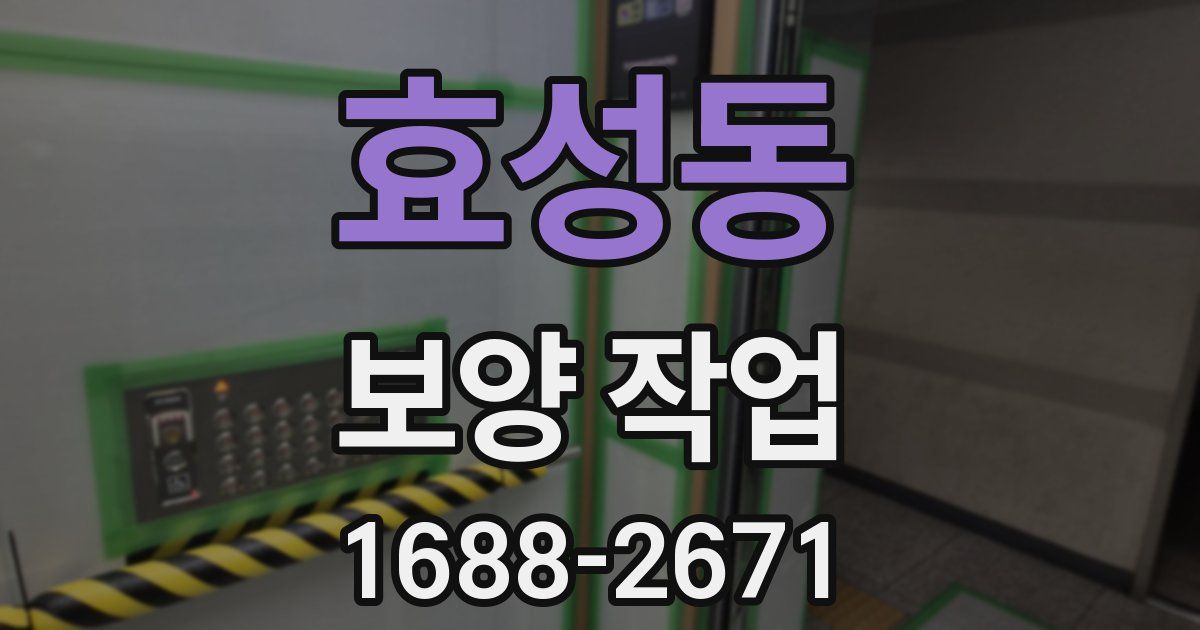 효성동 보양 작업