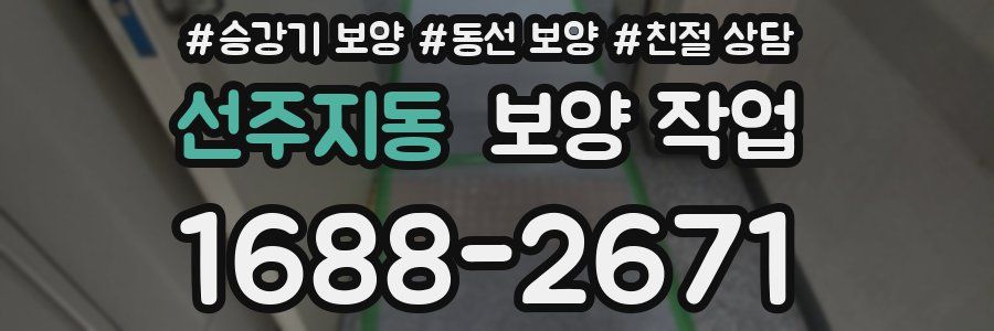 선주지동 보양 작업
