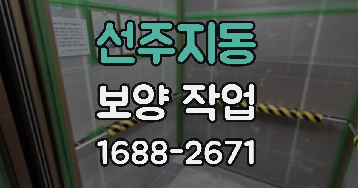 선주지동 보양 작업