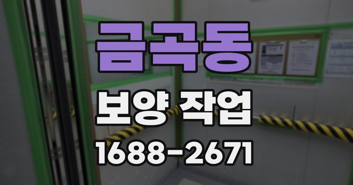금곡동 보양 작업