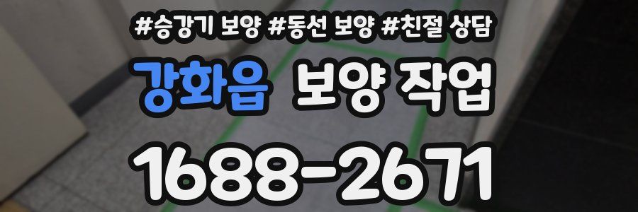 강화읍 보양 작업