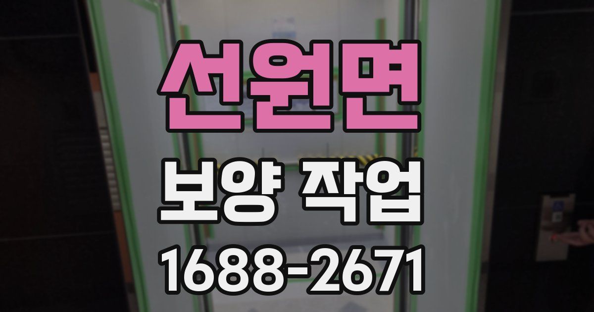 선원면 보양 작업