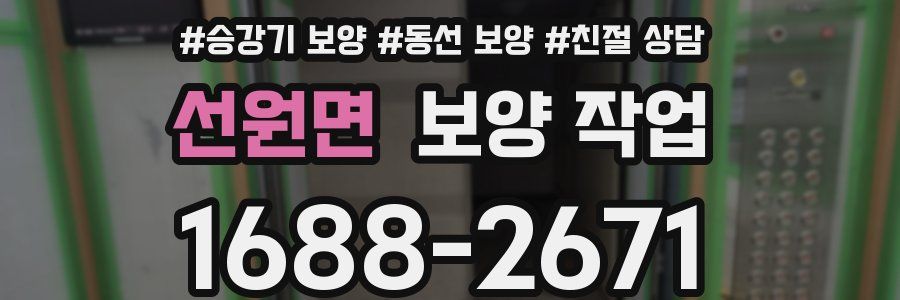 선원면 보양 작업