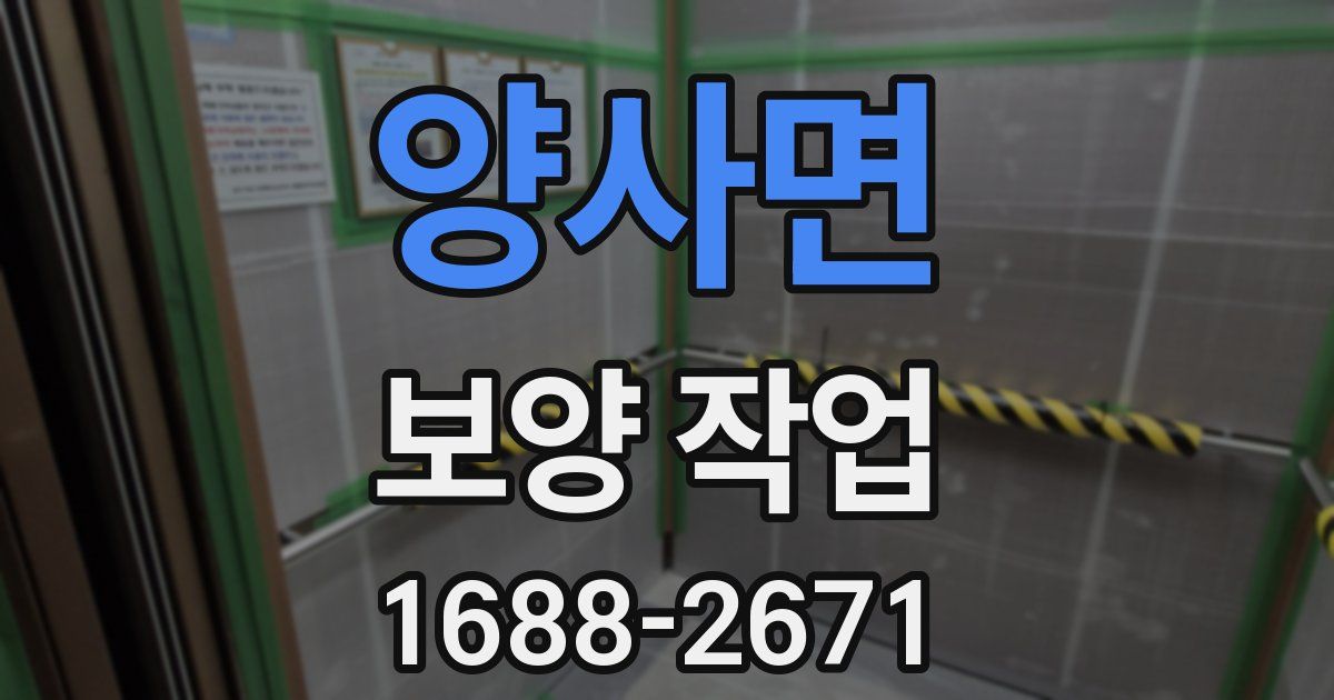 양사면 보양 작업