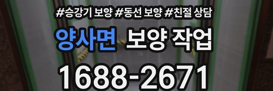 양사면 보양 작업