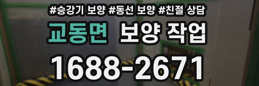 교동면 보양 작업