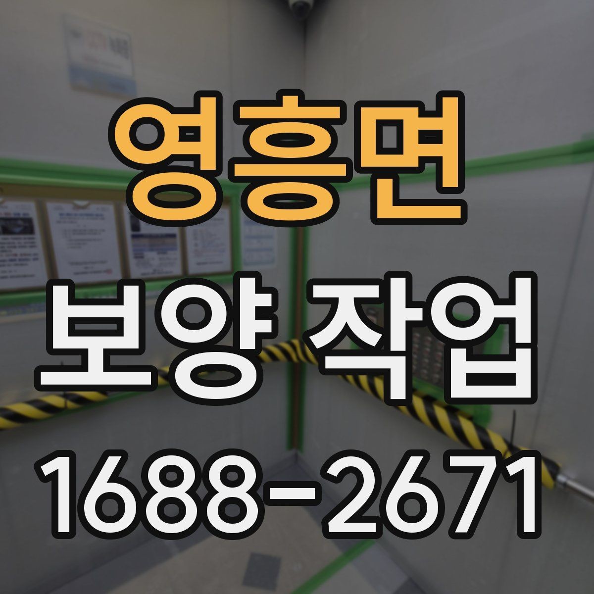 영흥면 보양 작업 전후 차이와 현장 체크포인트