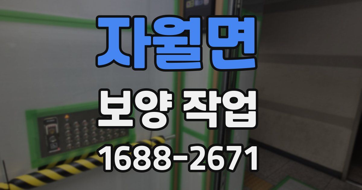 자월면 보양 작업