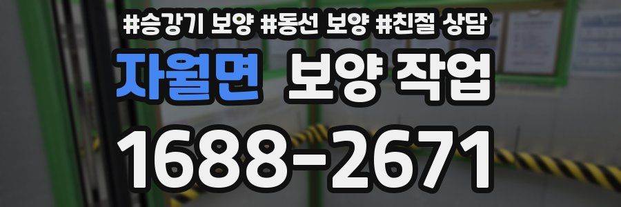 자월면 보양 작업
