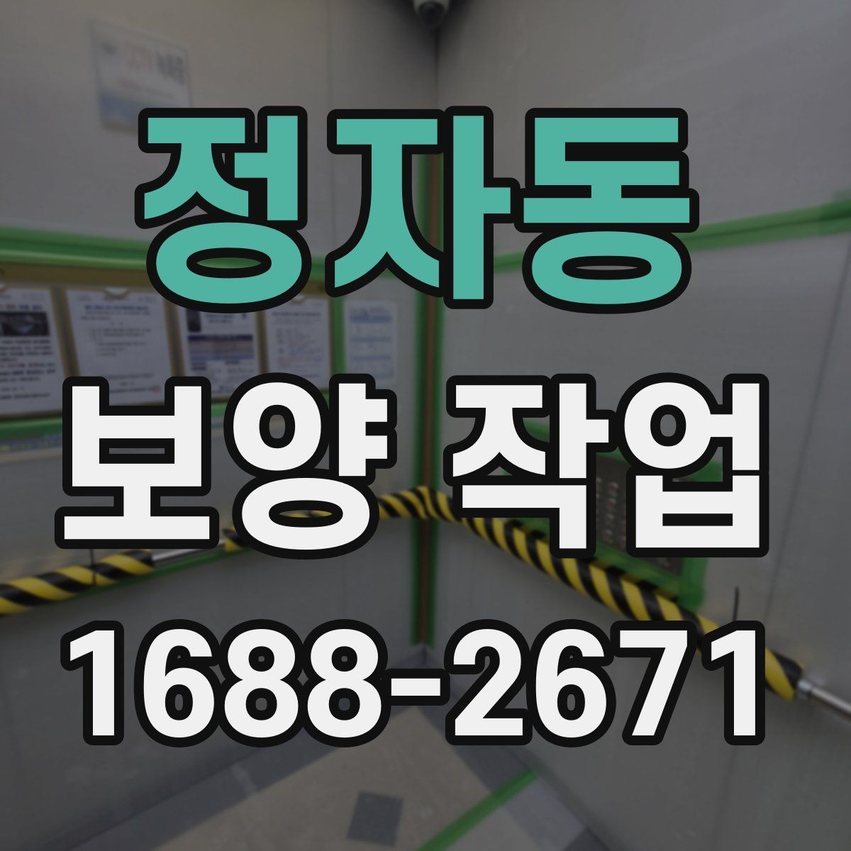 정자동 보양 작업 범위가 달라지는 이유
