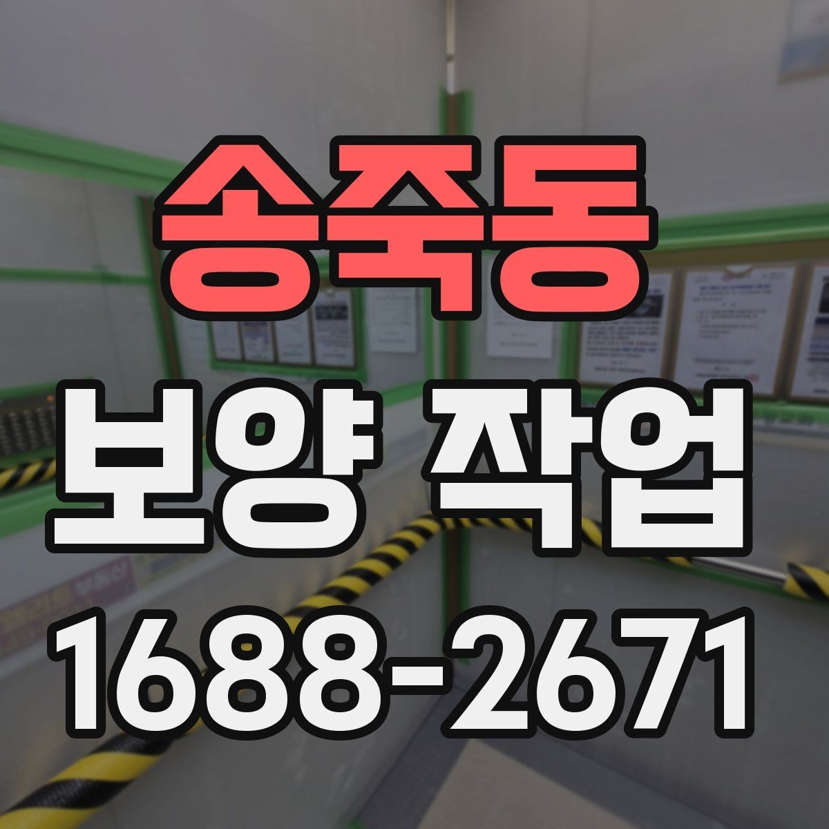 송죽동 보양 작업 결과를 좌우하는 현장 조사