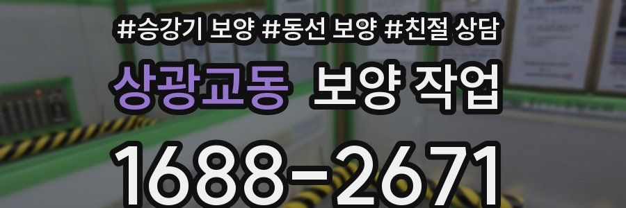 상광교동 보양 작업