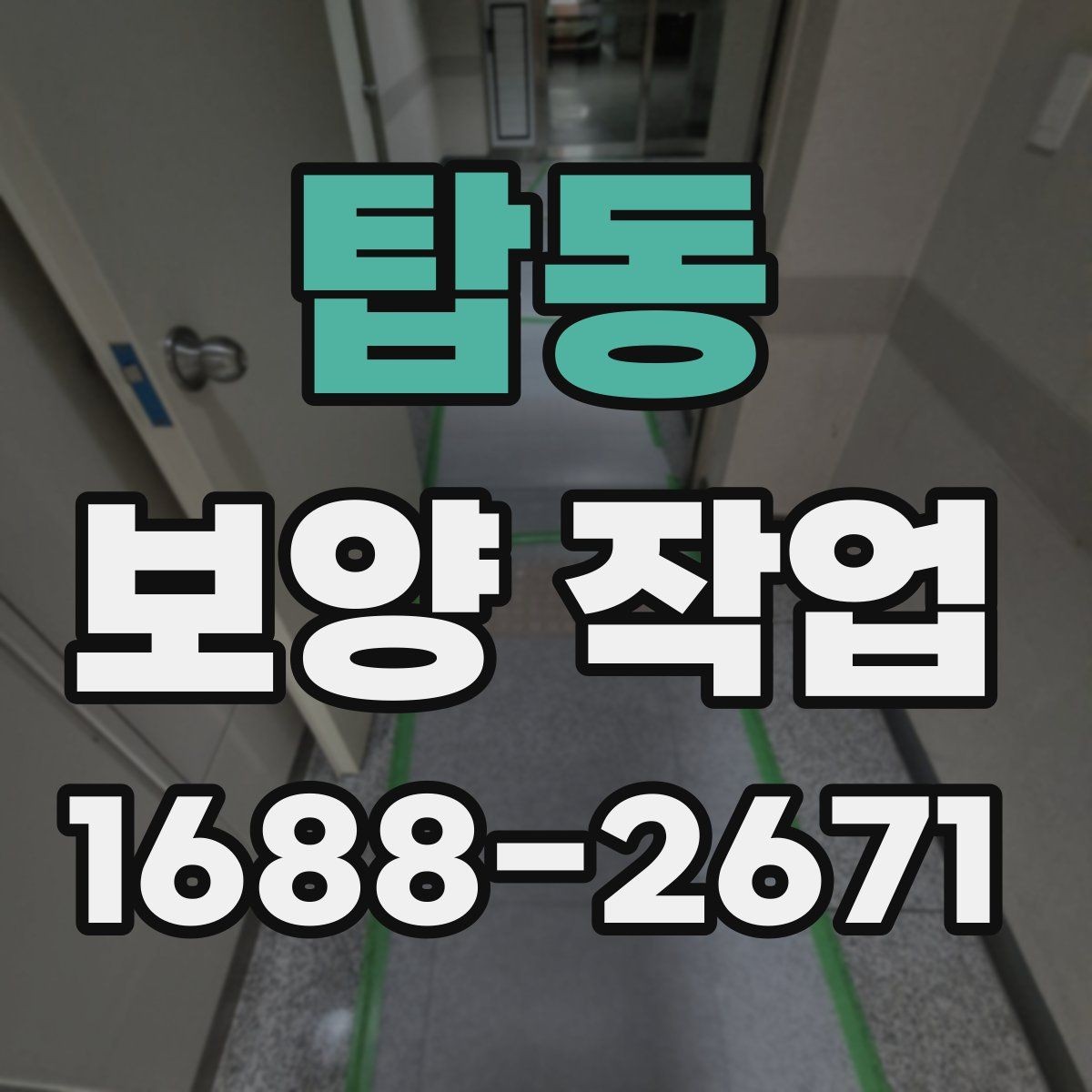 탑동 보양 작업 방식별 특징과 장단점