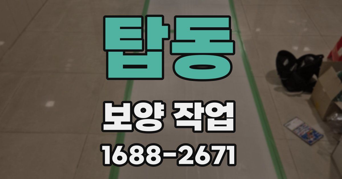탑동 보양 작업