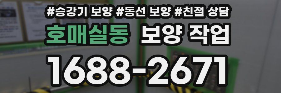 호매실동 보양 작업