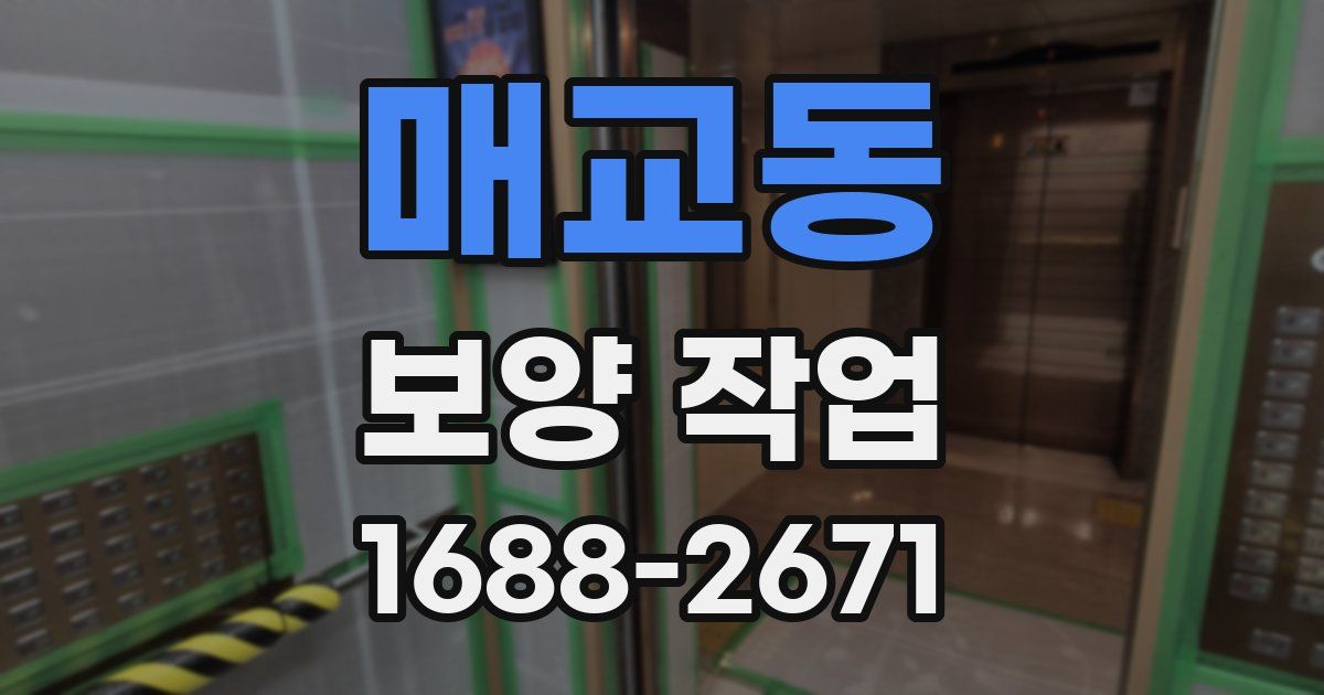 매교동 보양 작업