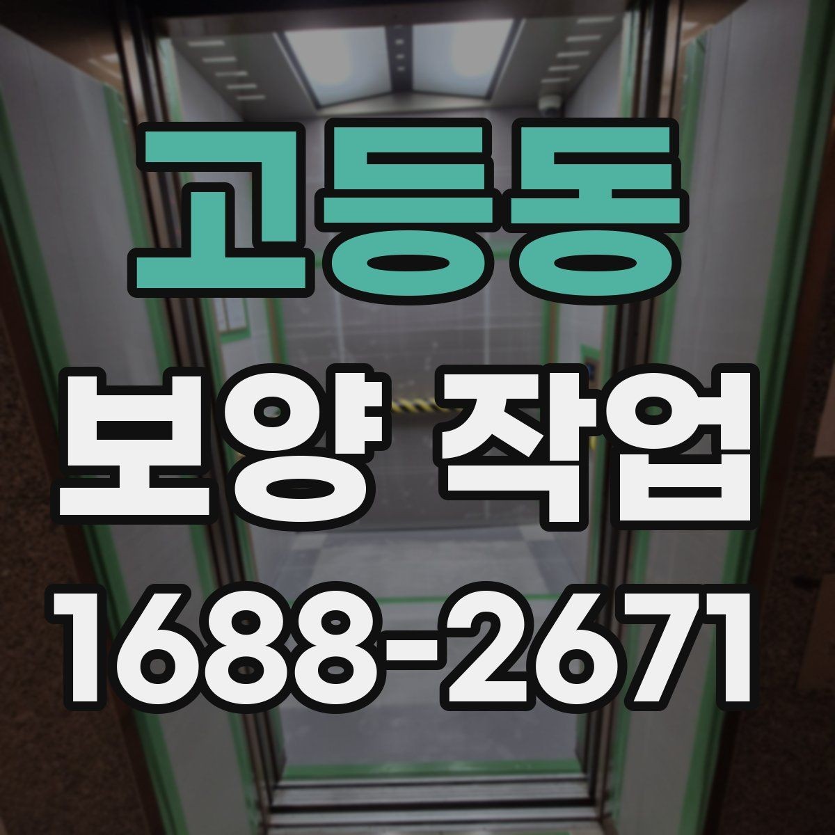 고등동 보양 작업 현장별 보호 수준 차이