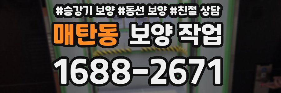 매탄동 보양 작업