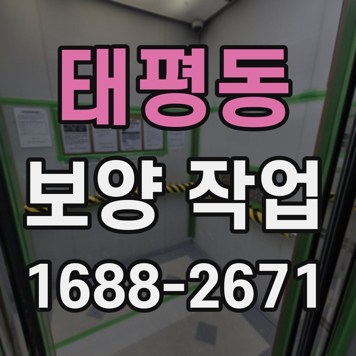 태평동 보양 작업 시공 전후 비교로 보는 변화