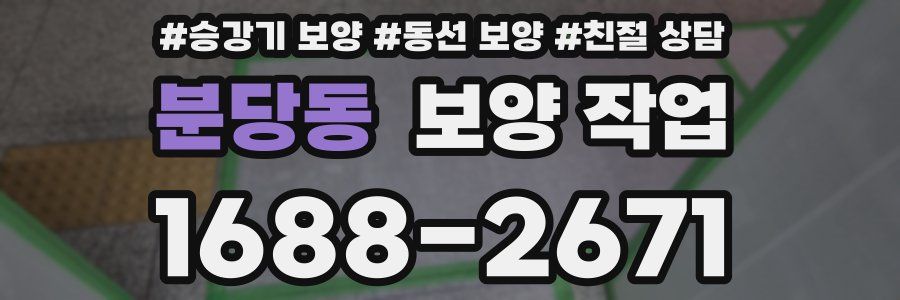 분당동 보양 작업