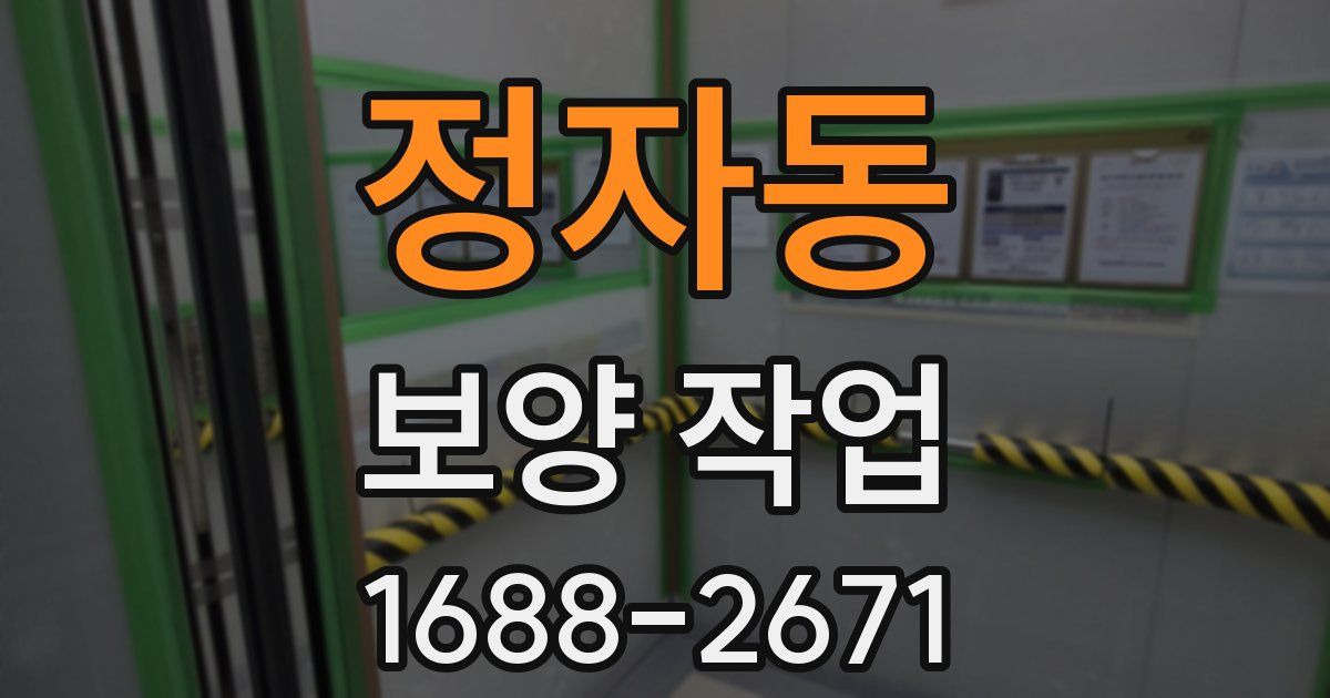 정자동 보양 작업