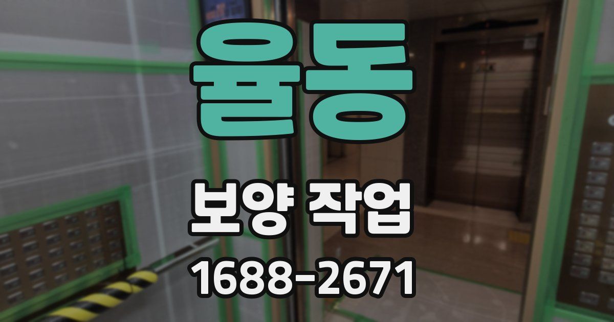 율동 보양 작업