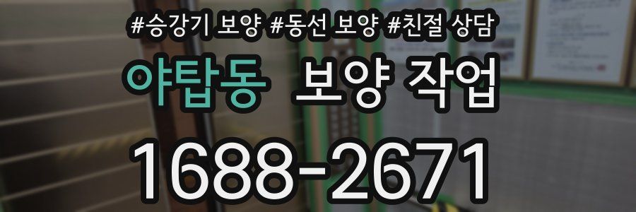 야탑동 보양 작업