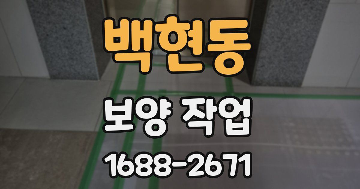 백현동 보양 작업