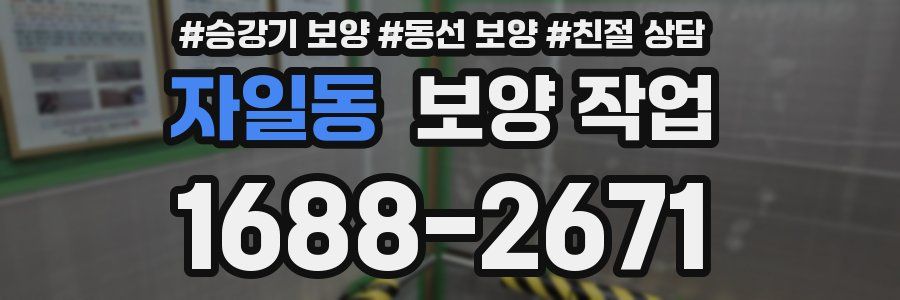 자일동 보양 작업