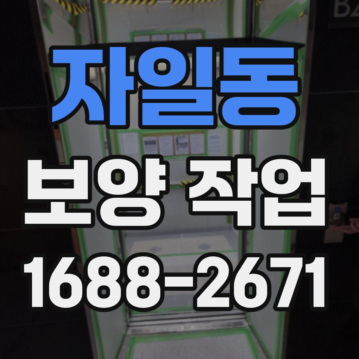자일동 보양 작업