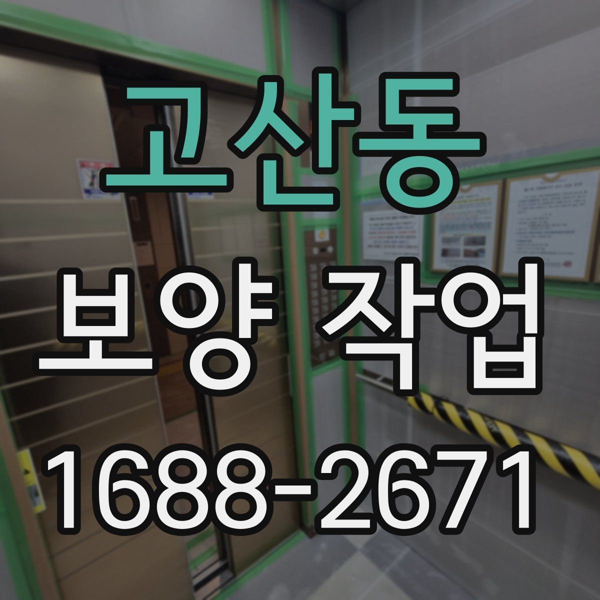 고산동 보양 작업