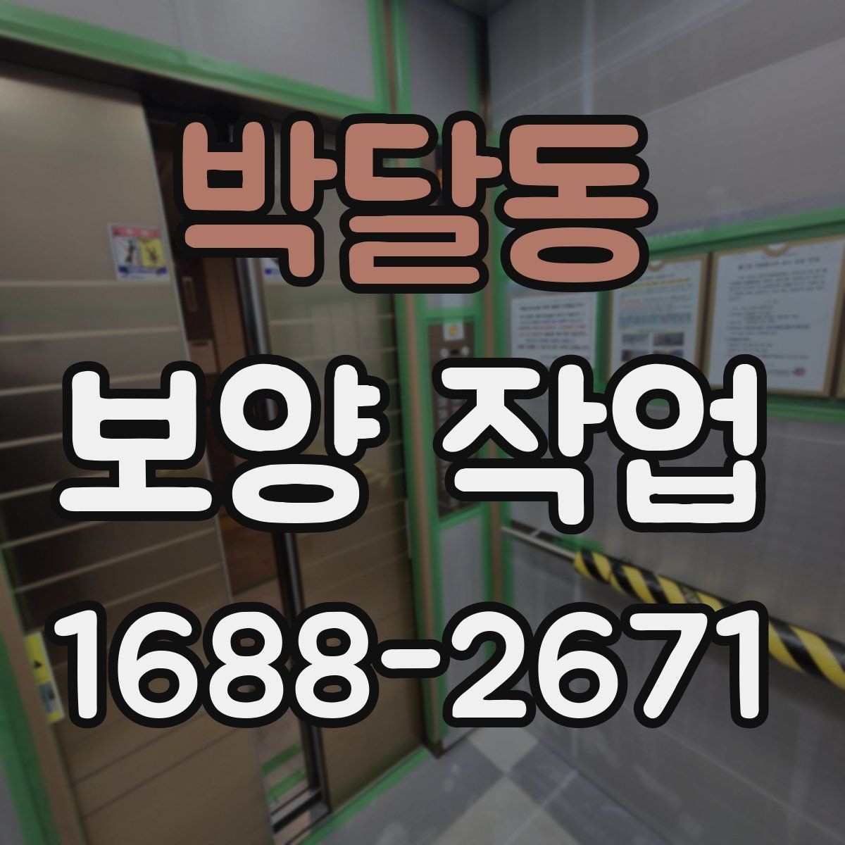 박달동 보양 작업 일정이 길어지는 이유와 대응