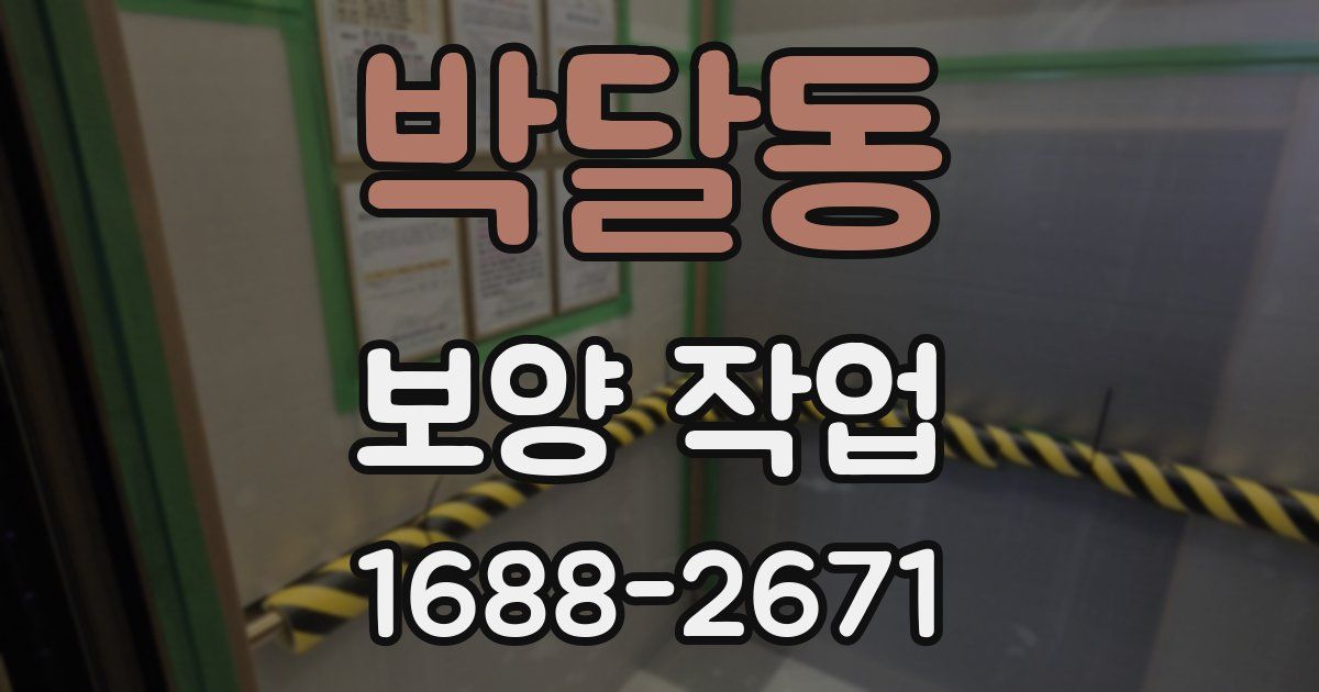 박달동 보양 작업