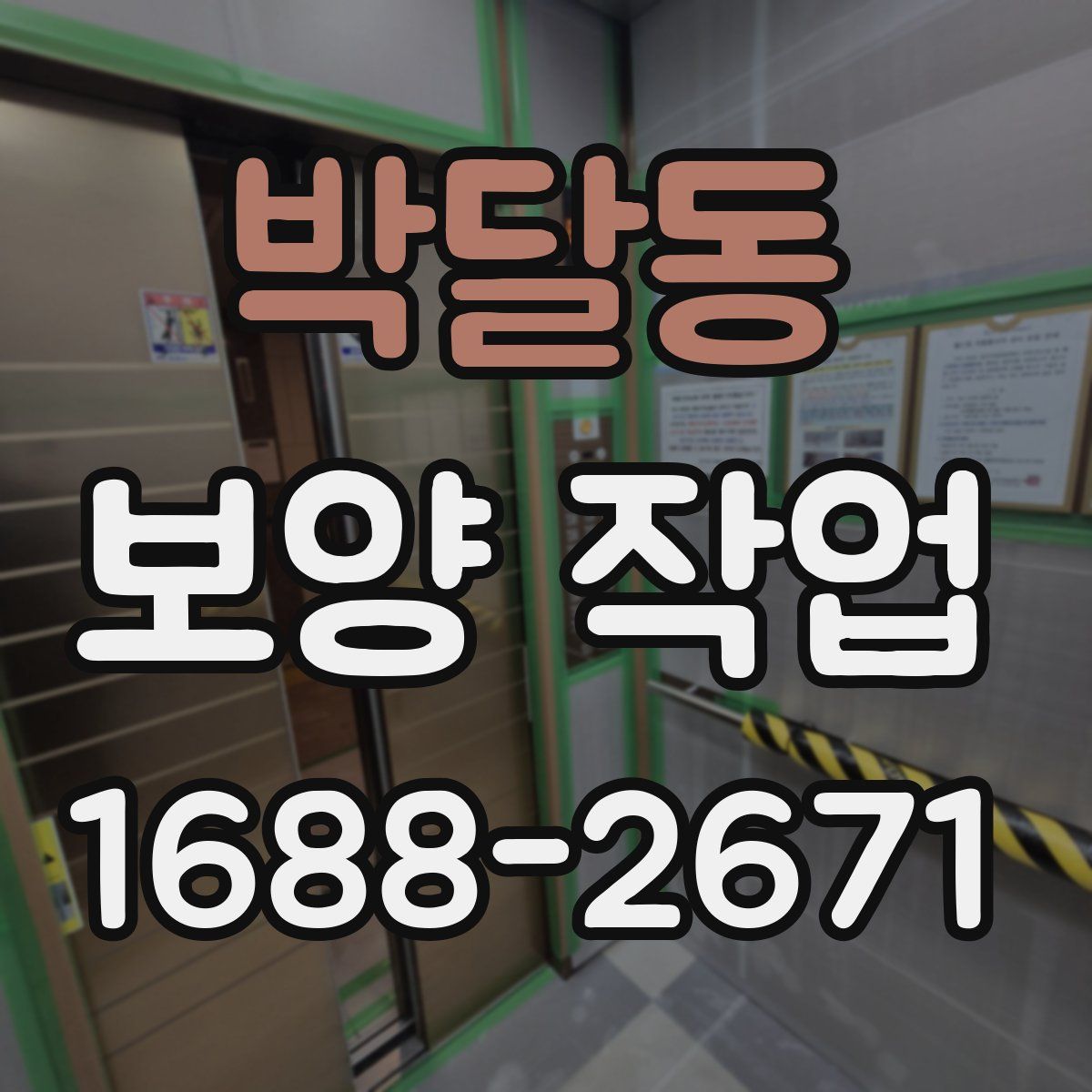 박달동 보양 작업