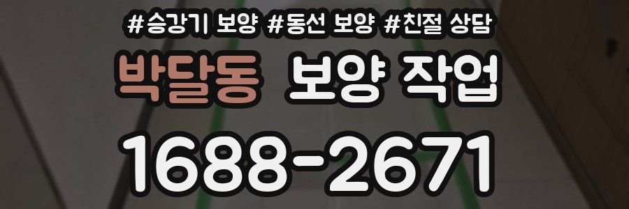 박달동 보양 작업
