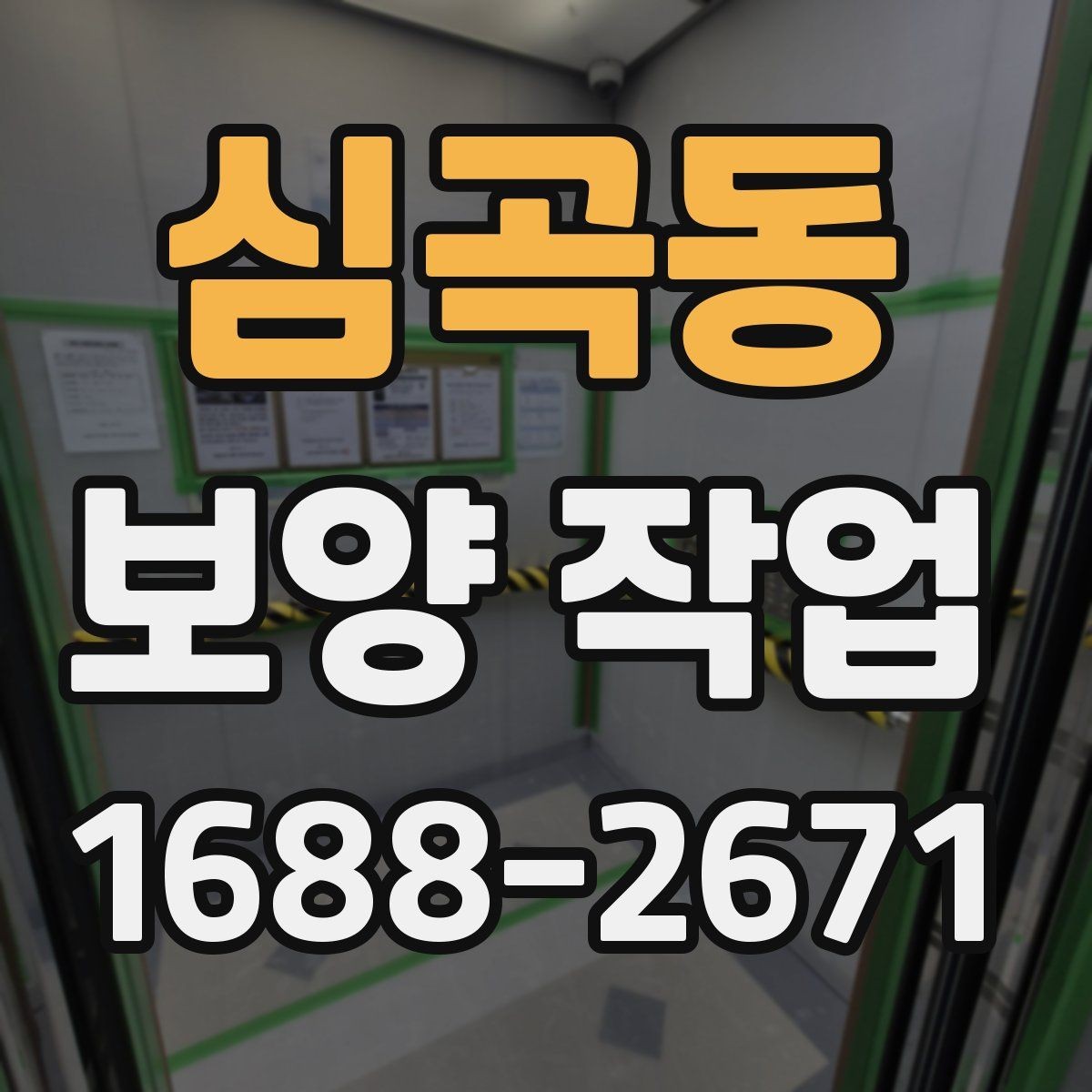 심곡동 보양 작업 후 손상 방지를 위한 관리