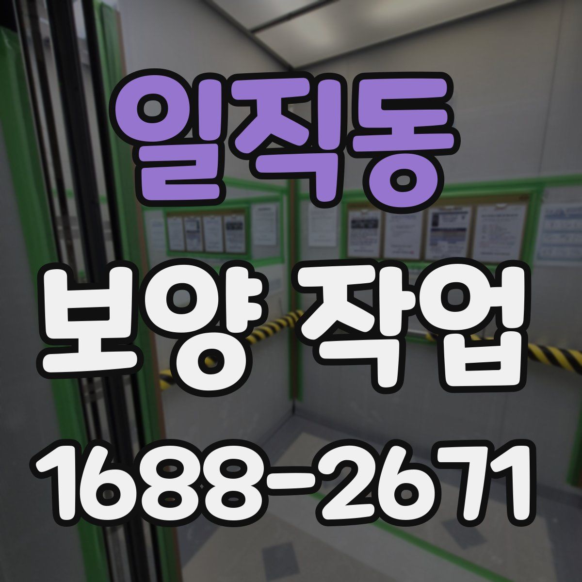 일직동 보양 작업