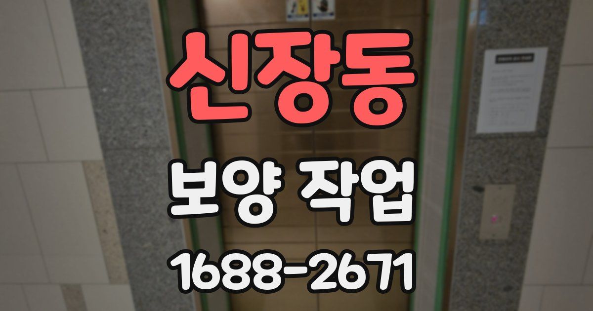 신장동 보양 작업