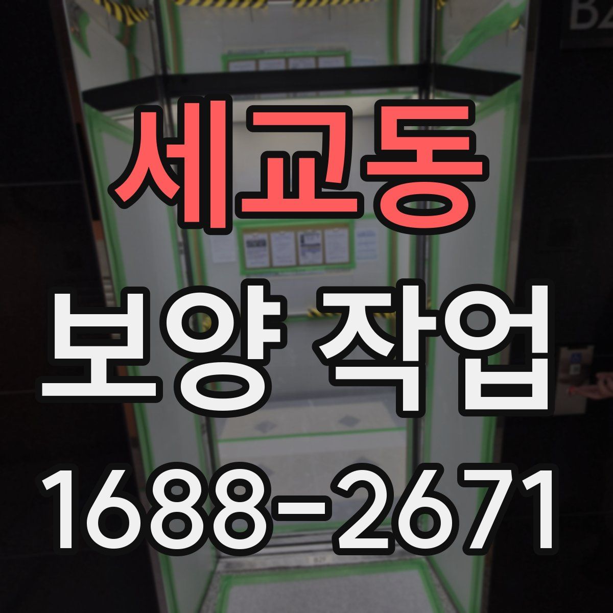 세교동 보양 작업