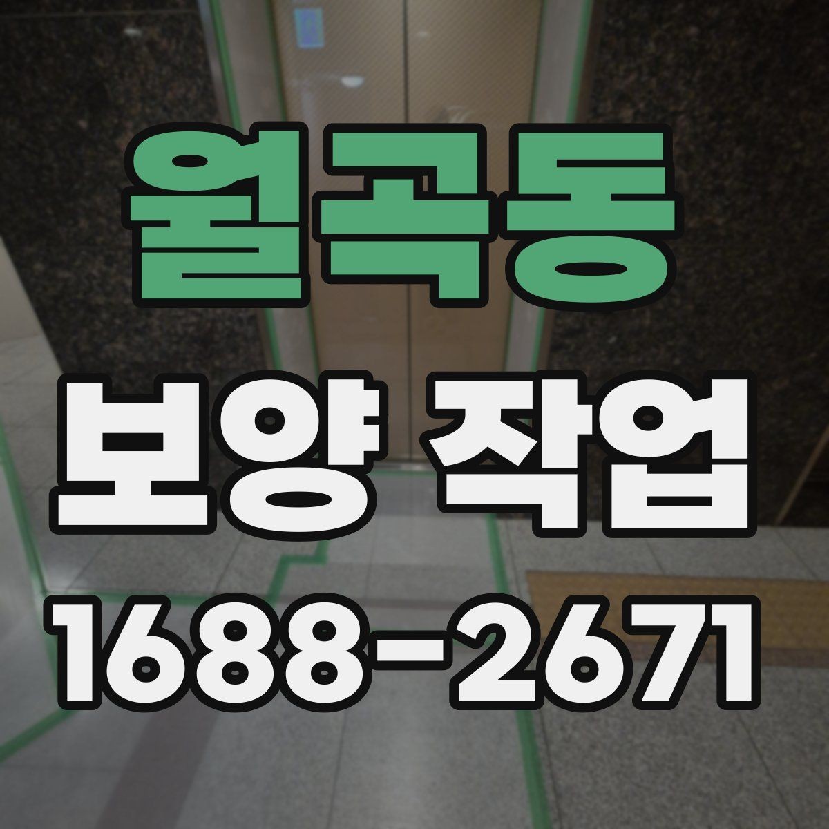 월곡동 보양 작업 비교 시 자재와 방식의 차이