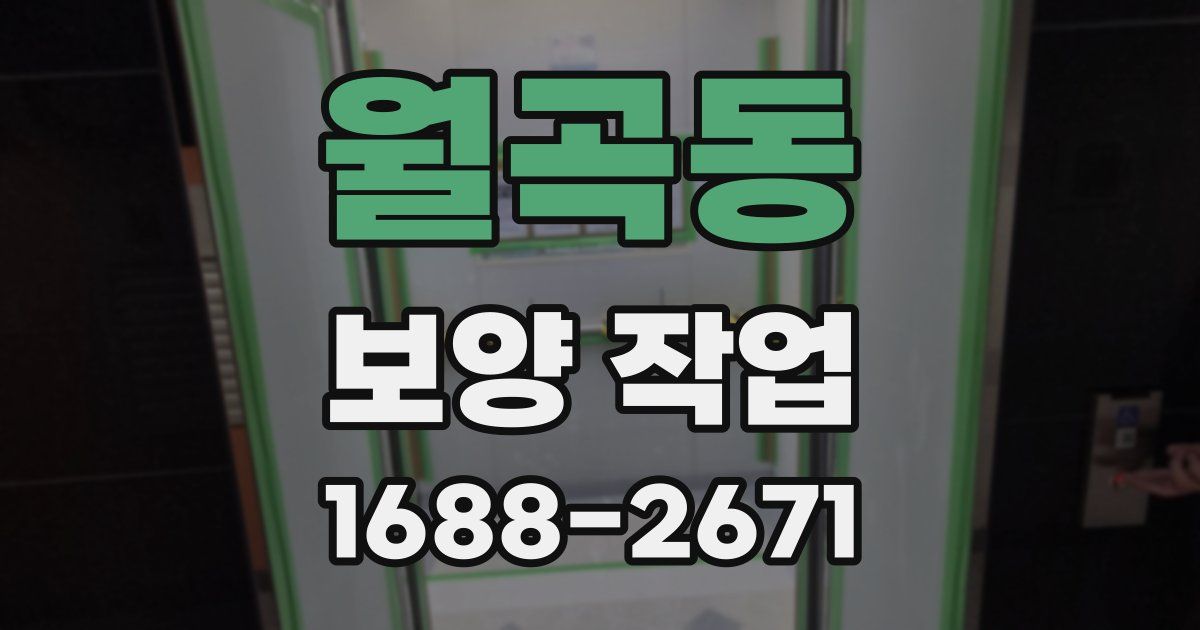 월곡동 보양 작업