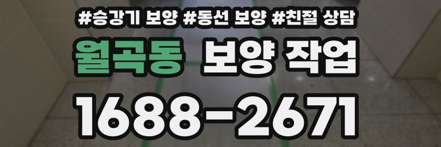 월곡동 보양 작업