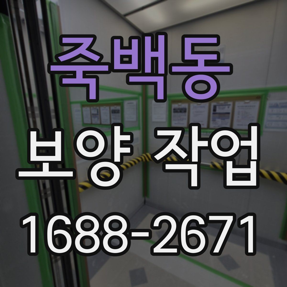 죽백동 보양 작업 과정에서 협의가 필요한 사항