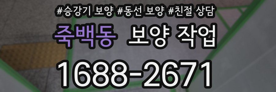 죽백동 보양 작업